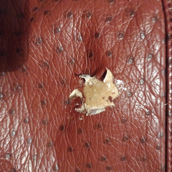 Destroyed Bag - Picture 10 of 11